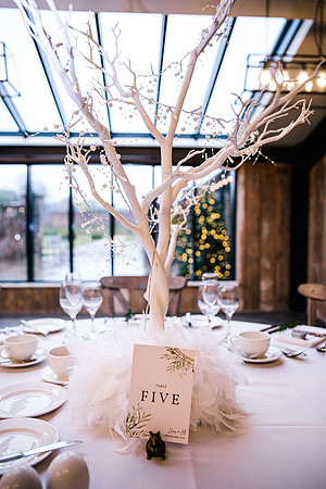 Foxtail Barns Wedding Photography - Jill & Chris-63