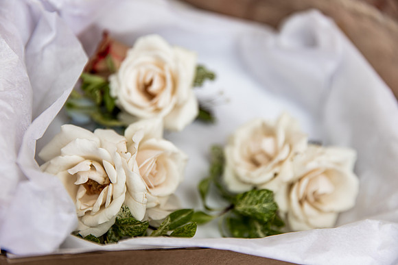 Charlotte & Paul - Foxtail Barns Wedding Photography-30