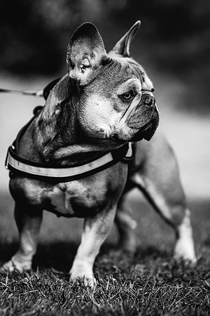 Family Photoshoot at Tunstall Park-214