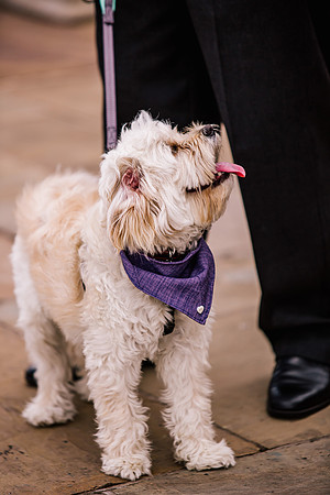 Aston Marina Wedding Photography - Samantha & Tom-371