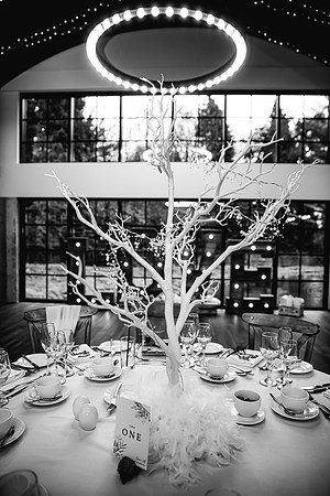 Foxtail Barns Wedding Photography - Jill & Chris-58