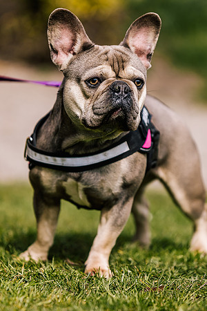 Family Photoshoot at Tunstall Park-212