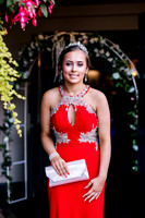 Demi Shingler - Prom.