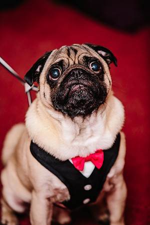 Hunters Lodge Wedding Photography - Jenny & Bob-281