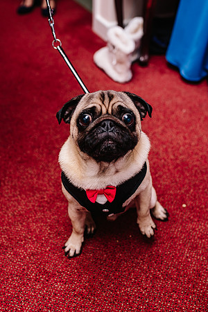 Hunters Lodge Wedding Photography - Jenny & Bob-256