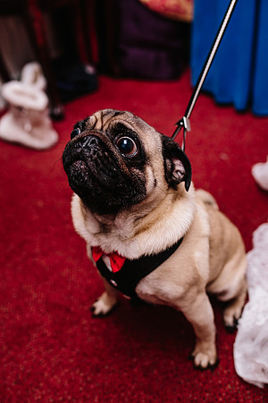 Hunters Lodge Wedding Photography - Jenny & Bob-253