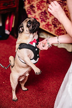 Hunters Lodge Wedding Photography - Jenny & Bob-283