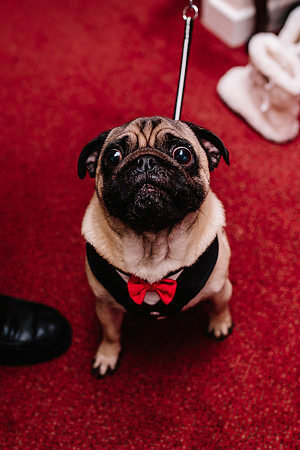 Hunters Lodge Wedding Photography - Jenny & Bob-254