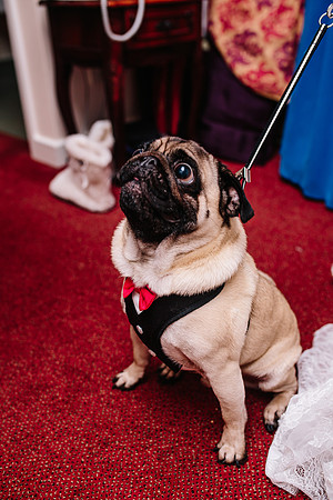 Hunters Lodge Wedding Photography - Jenny & Bob-252