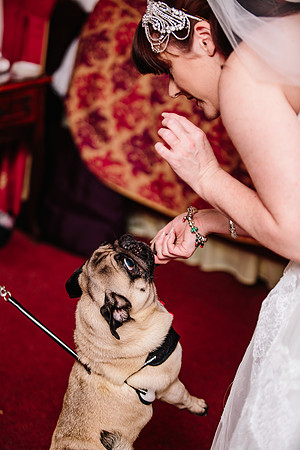 Hunters Lodge Wedding Photography - Jenny & Bob-284