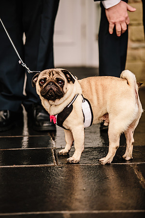 Hunters Lodge Wedding Photography - Jenny & Bob-211