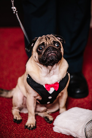 Hunters Lodge Wedding Photography - Jenny & Bob-279