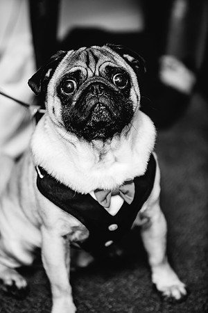 Hunters Lodge Wedding Photography - Jenny & Bob-280