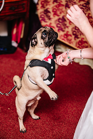 Hunters Lodge Wedding Photography - Jenny & Bob-282