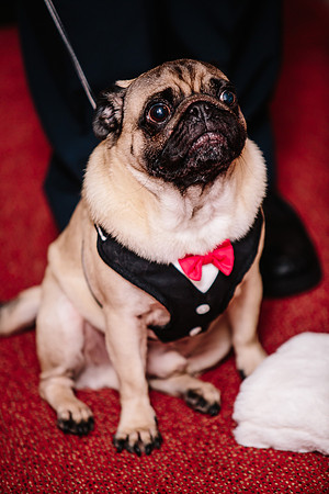 Hunters Lodge Wedding Photography - Jenny & Bob-278