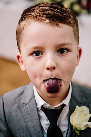 Wedding Photography - The upper House Barlaston - Holly & Clojo-559