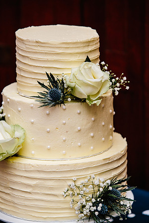 Newton Park Hotel Wedding - Emma & Ian-742