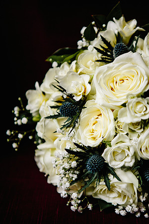 Newton Park Hotel Wedding - Emma & Ian-120