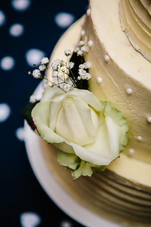 Newton Park Hotel Wedding - Emma & Ian-450