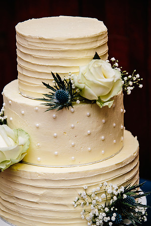Newton Park Hotel Wedding - Emma & Ian-741
