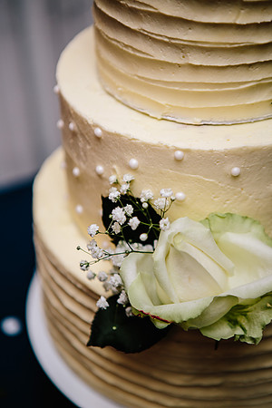 Newton Park Hotel Wedding - Emma & Ian-451