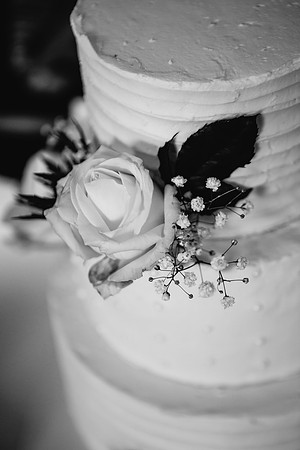 Newton Park Hotel Wedding - Emma & Ian-22