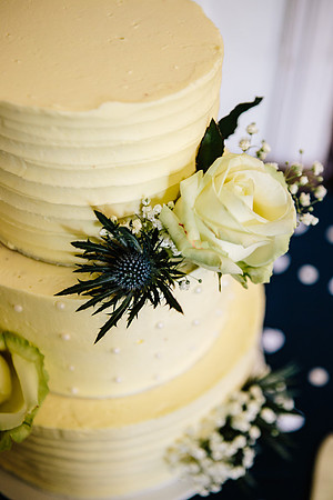 Newton Park Hotel Wedding - Emma & Ian-203