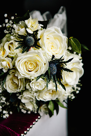 Newton Park Hotel Wedding - Emma & Ian-127