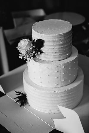 Newton Park Hotel Wedding - Emma & Ian-21