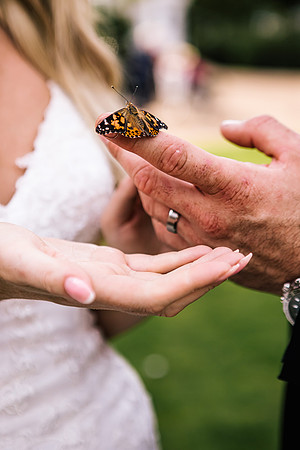The Post House Stafford Wedding Photography - Vicky & Craig-404