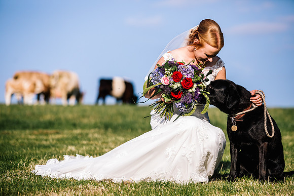 Staffordshire Moorlands Wedding Photography -  Lisa & Andy-781