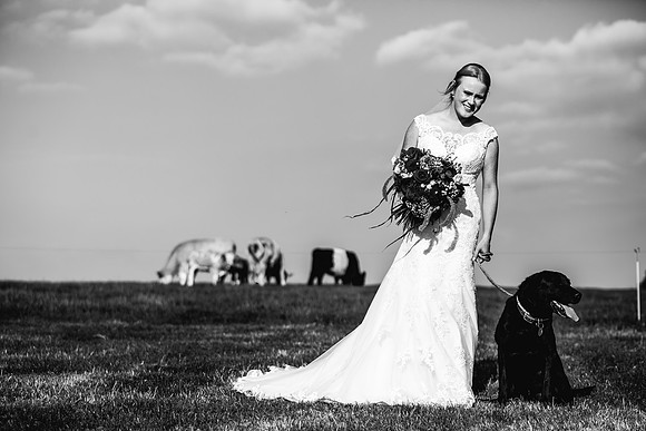 Staffordshire Moorlands Wedding Photography -  Lisa & Andy-775