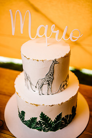 Mario - Greek Orthodox Christening -412
