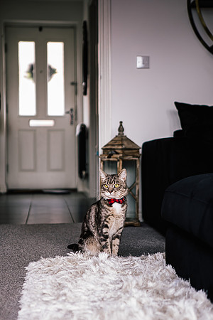 Staffordshire Brand Photographer - Loacks & Lashes L'Amour Brand Shoot.-138
