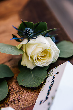 Foxtail Barns Wedding Photography - Sam & Sam-224