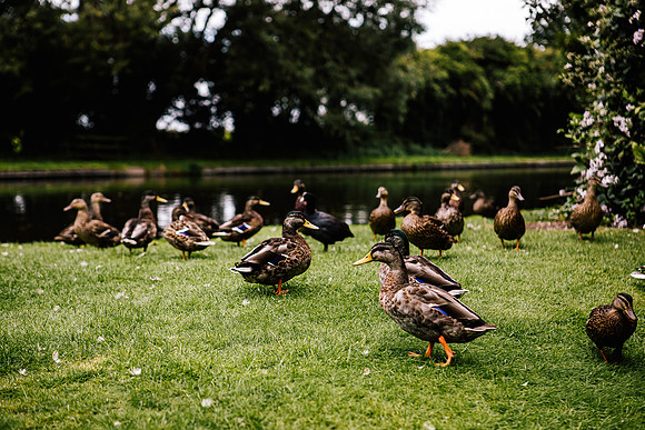 Jane & David - Gift Of A Wedding - Moat House Acton Trussell-4