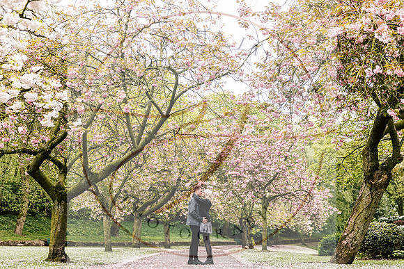 Staffordshire Engagement Photography - Pre-Wedding Shoot-60
