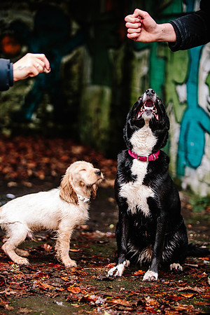 Family Photoshoot - Lifestyle Photography - Longton Park-105