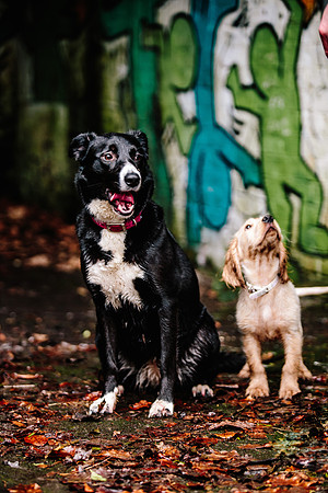 Family Photoshoot - Lifestyle Photography - Longton Park-106