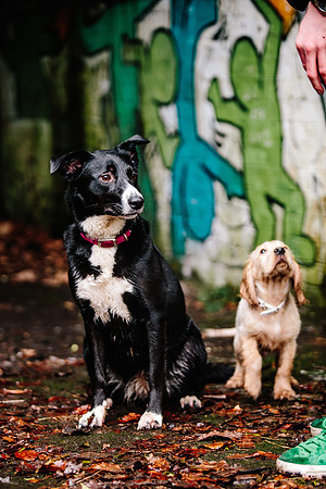 Family Photoshoot - Lifestyle Photography - Longton Park-107