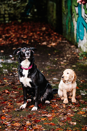 Family Photoshoot - Lifestyle Photography - Longton Park-109