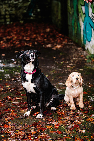 Family Photoshoot - Lifestyle Photography - Longton Park-110