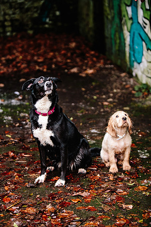 Family Photoshoot - Lifestyle Photography - Longton Park-111