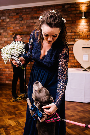 Jane & David - Gift Of A Wedding - Moat House Acton Trussell-85