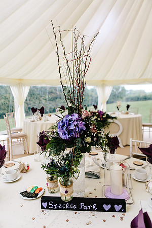 Rachel & Rich - Shropshire Wedding Photography - Market Drayton-496