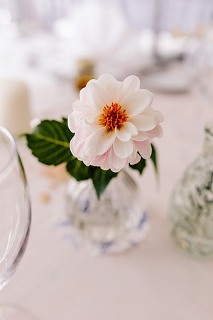 Somerford Hall Wedding Photography - Staffordshire Wedding Photographer - Daisy & Zack-519
