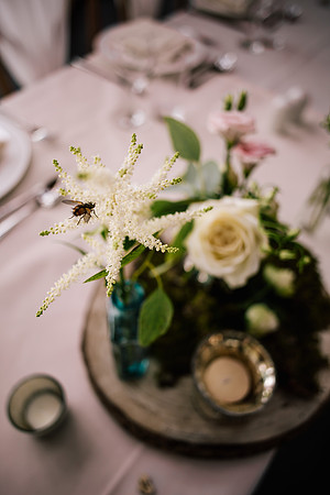 The Oak Tree Of Peover Wedding Photography - Cheshire Wedding Photographer-526