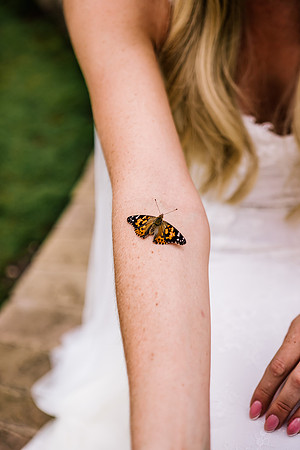 The Post House Stafford Wedding Photography - Vicky & Craig-384