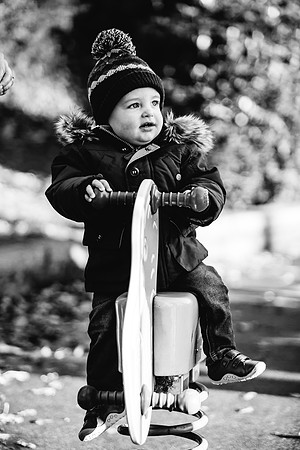 Logan - Family Portraits - Longton Park - Staffordshire Photographer-121