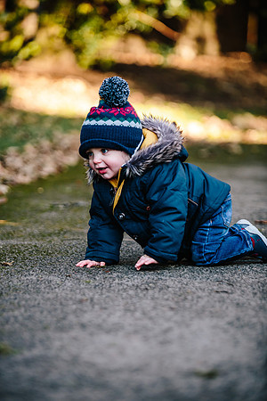Logan - Family Portraits - Longton Park - Staffordshire Photographer-176